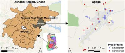 Antibiotic-resistant Campylobacter coli and Campylobacter jejuni in commercial and smallholder farm animals in the Asante Akim North Municipality of Ghana